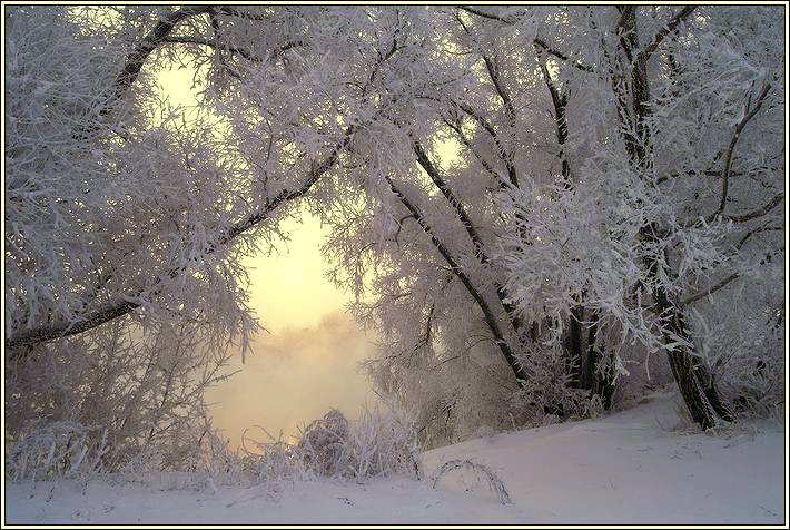 photo "***" tags: landscape, forest, winter