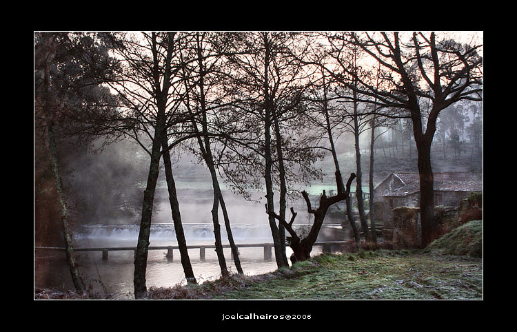 photo "***" tags: landscape, 