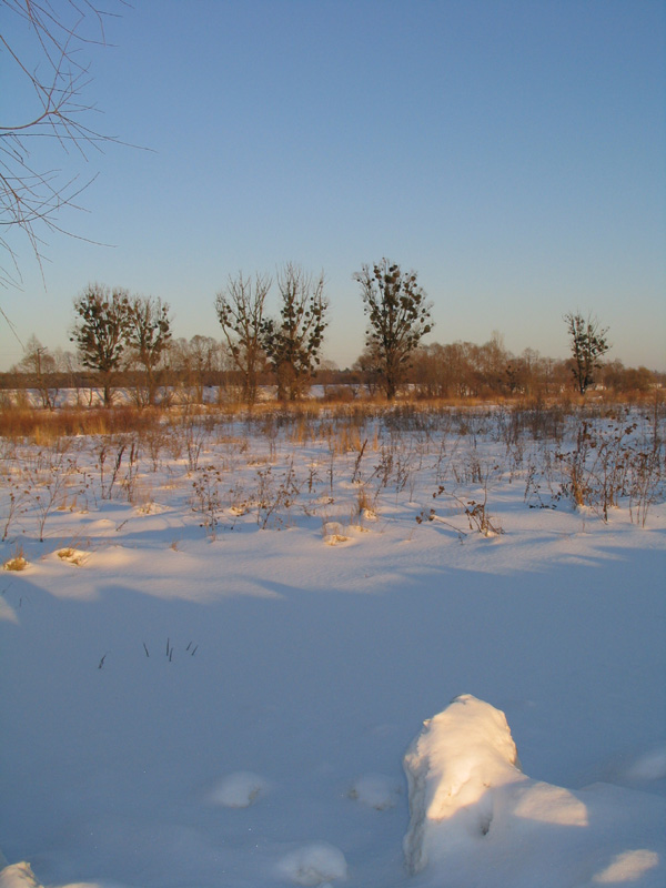 photo "***" tags: landscape, winter