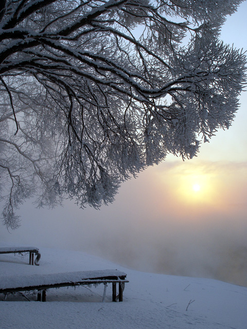 фото "Русские Канары.:)" метки: пейзаж, закат, зима