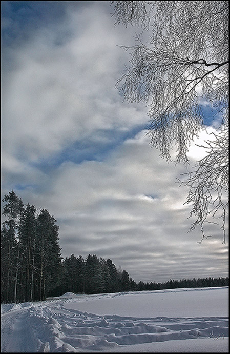 фото "*" метки: пейзаж, зима