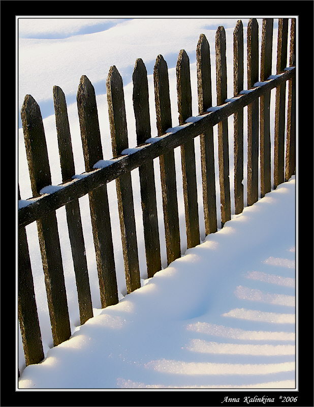 photo ""Zebra"" tags: landscape, winter
