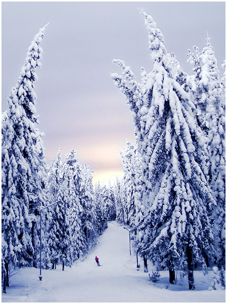 photo "The lonely skier" tags: landscape, winter