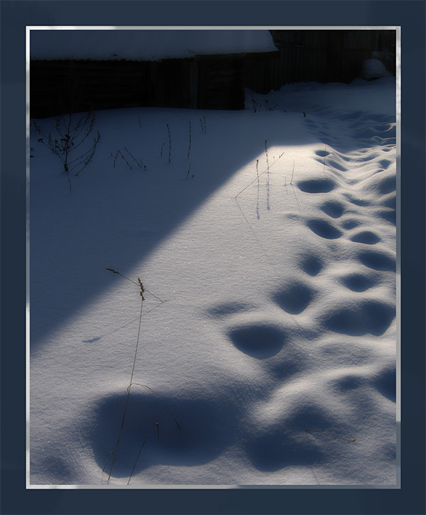 фото "snow" метки: пейзаж, зима