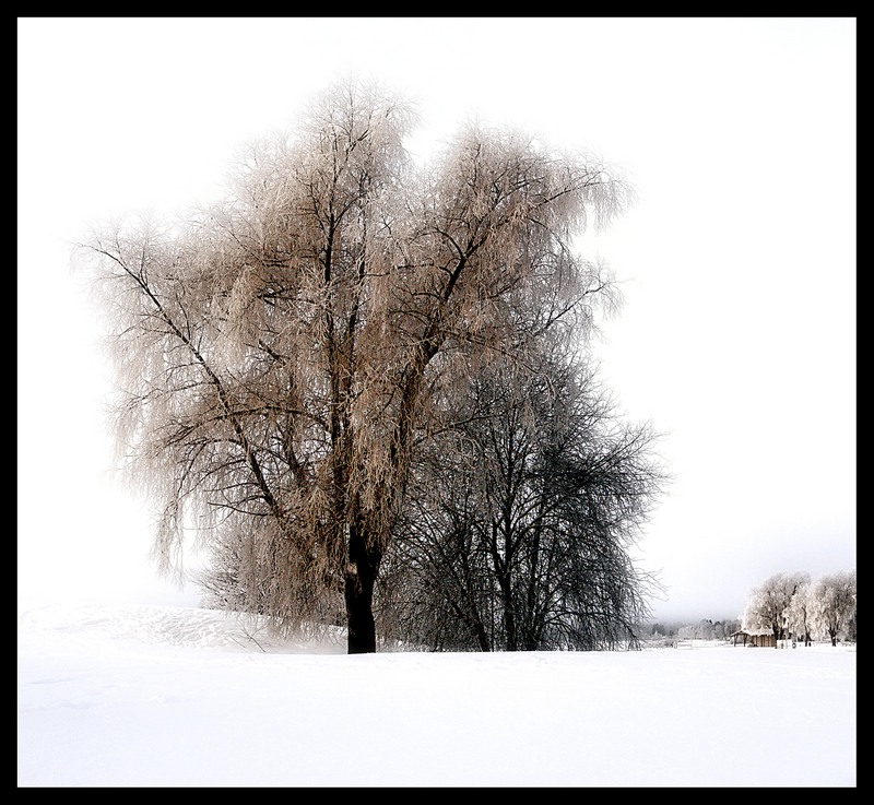 photo "Winter mood" tags: landscape, winter