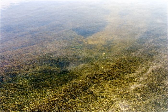photo "Полет над водой" tags: landscape, water