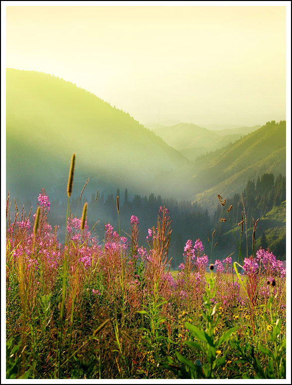 photo "* * *" tags: nature, landscape, summer