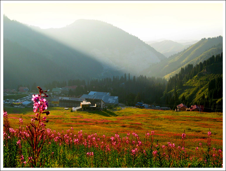 photo "***" tags: landscape, nature, summer