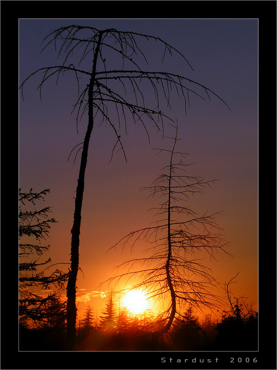 photo "Ловцы солнца. Эпизод 2 / Sun Catchers. Episode 2" tags: landscape, autumn, sunset