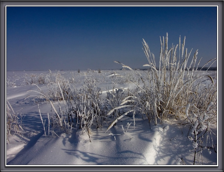 фото "Голубые дали" метки: пейзаж, зима