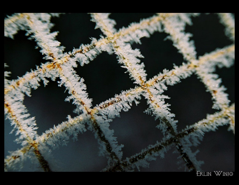 photo "***" tags: landscape, macro and close-up, winter