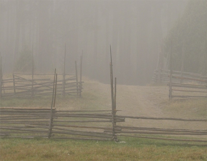 photo "Time stood still on that autumn morning..." tags: landscape, autumn