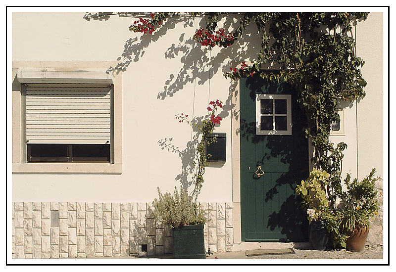 photo "Flowered door" tags: architecture, landscape, 