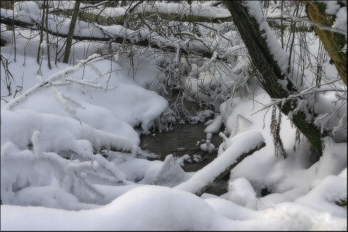 фото "Зимняя фантазия # 3" метки: пейзаж, зима