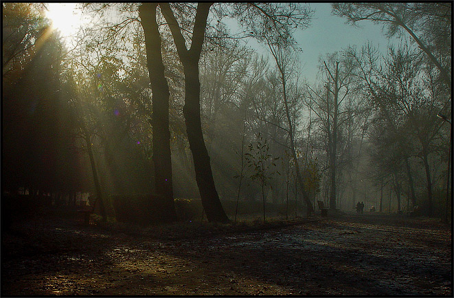 фото ""Прозрачное" утро" метки: пейзаж, осень