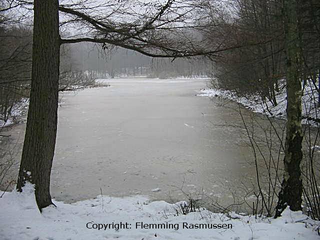 photo "Winter lake" tags: landscape, water