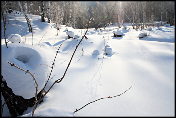 photo "***" tags: landscape, winter