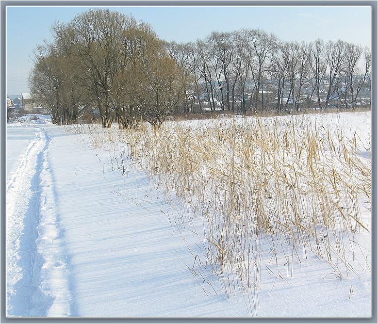 photo "***" tags: landscape, winter