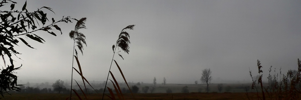 photo "Тишина/Quiet/" tags: landscape, summer