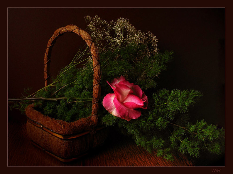 photo "***" tags: still life, 