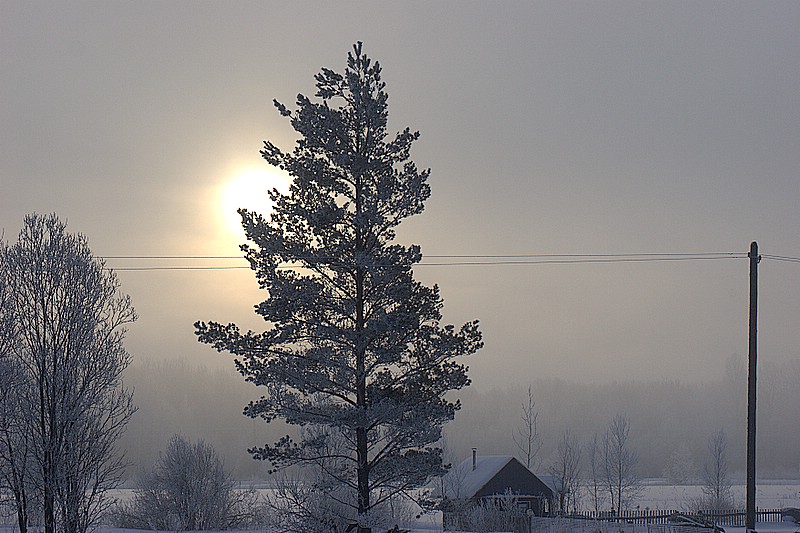 photo "***" tags: landscape, 