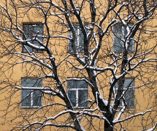 фото "***" метки: архитектура, пейзаж, зима