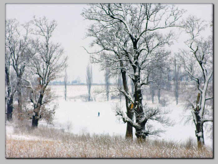 photo "winter scape" tags: landscape, winter