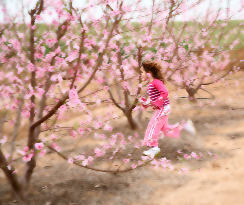 photo "Blooming Almond" tags: landscape, spring