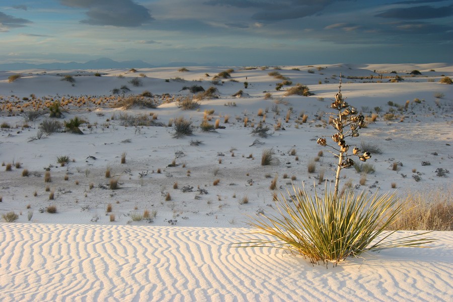 photo "E Pluribus Unum" tags: landscape, travel, North America, sunset