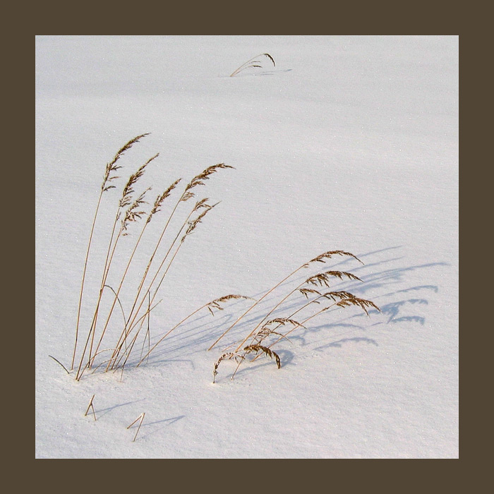 фото "Мороз и солнце" метки: пейзаж, зима