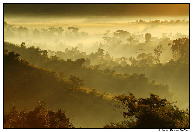 фото "Misty sunrise" метки: пейзаж, закат, лес