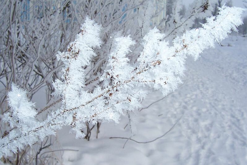 photo "***" tags: landscape, winter