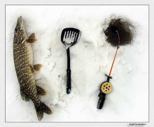 photo "Release me old man" tags: nature, still life, wild animals