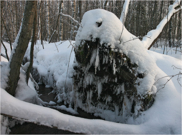 фото "Зимняя фантазия # 4 - Страж" метки: пейзаж, зима