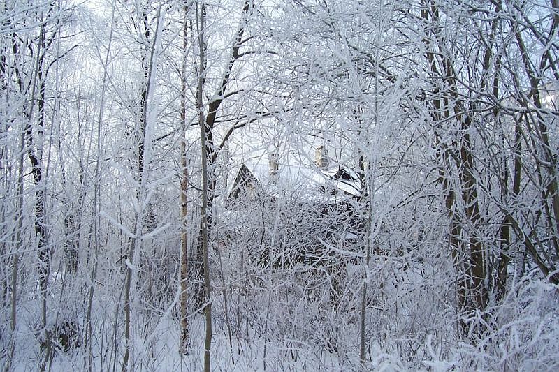 фото "зимний пейзаж" метки: пейзаж, зима