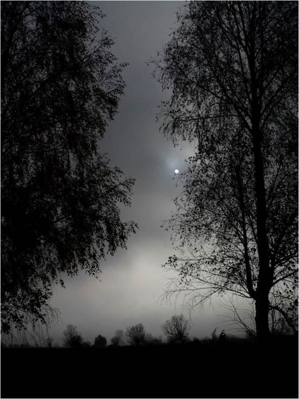 photo "Wolfmoon" tags: landscape, night
