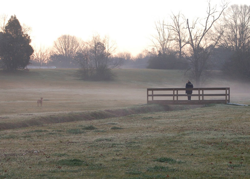 photo "Foggy morning" tags: landscape, spring, sunset