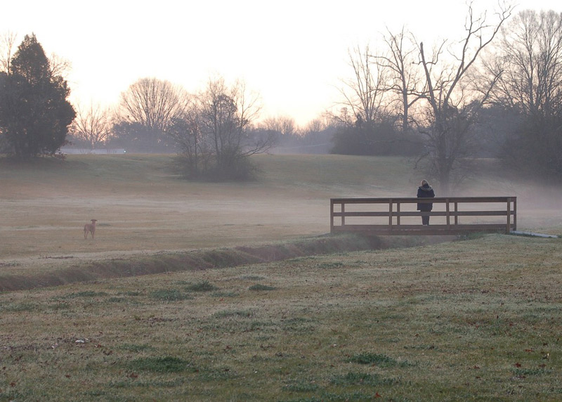фото "Foggy morning" метки: пейзаж, весна, закат