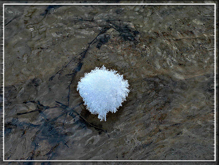 photo "Winter Fantasy # 5" tags: nature, 
