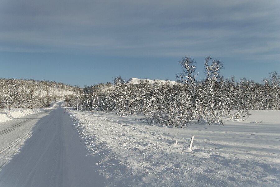 photo "Winter road" tags: landscape, winter
