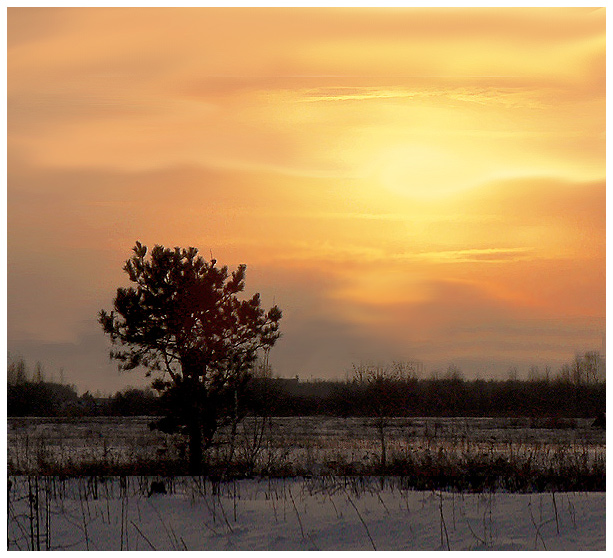 фото "Оранжевый закат" метки: пейзаж, закат, зима