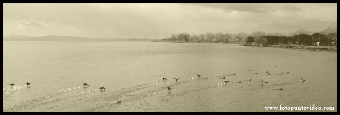 photo "Trasimeno Lake 2006" tags: travel, nature, Europe