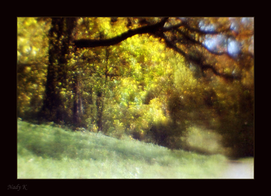 photo "Autumn.. Walk.." tags: landscape, autumn, forest