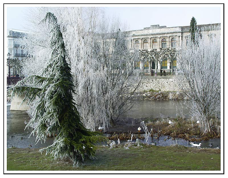 photo "The dewy pine" tags: landscape, architecture, winter