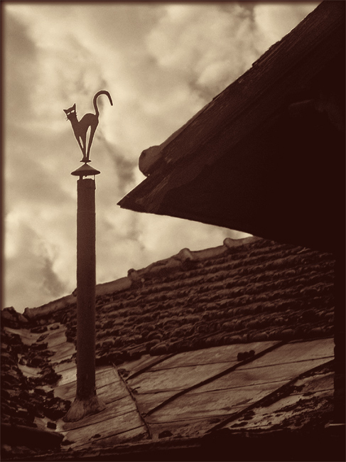 photo "the cat" tags: architecture, black&white, landscape, 