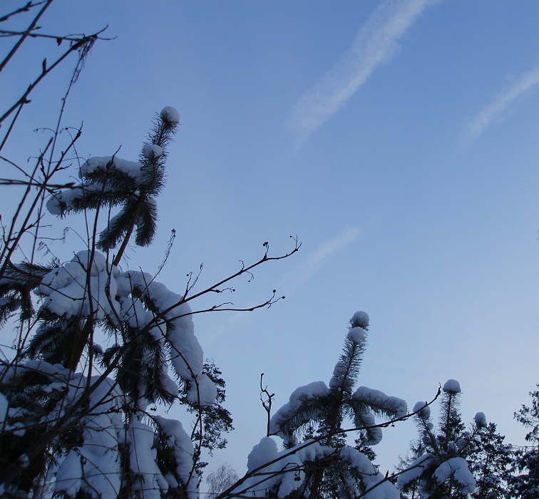 photo "***" tags: landscape, winter