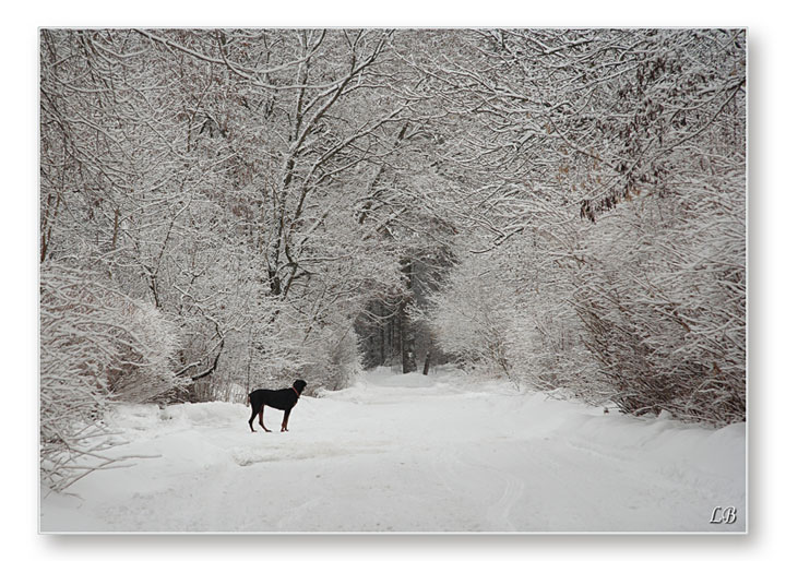 photo "***" tags: landscape, winter