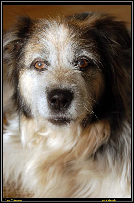 photo "aza" tags: nature, pets/farm animals