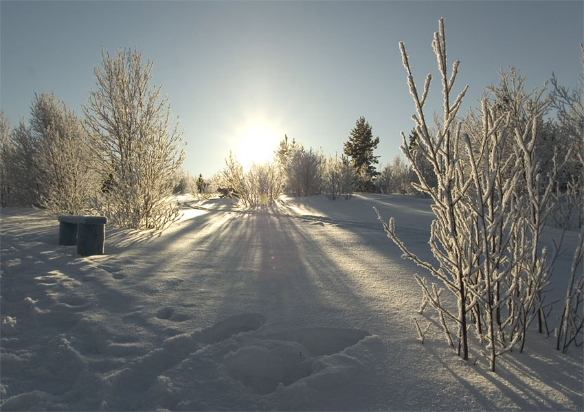 photo "Frozen bench" tags: landscape, nature, winter