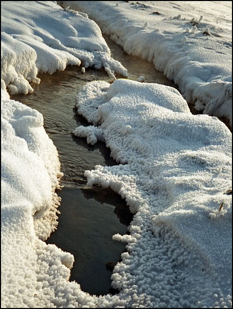 photo "Spring come!" tags: landscape, winter